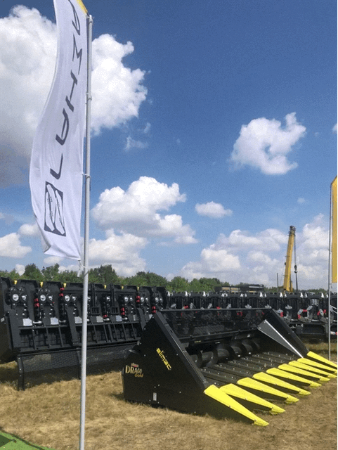 IMG-7866.GIF
