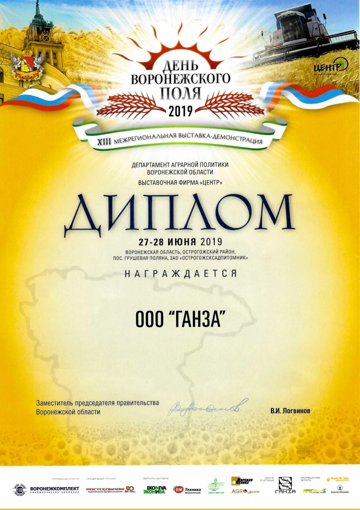 Диплом ДВП 2019.jpg